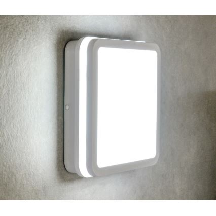 Plafoniera LED da esterno BENO LED/18W/230V 4000K bianca IP54