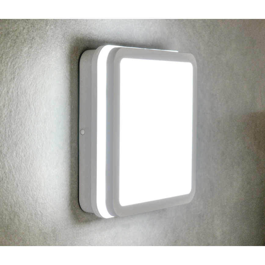 Plafoniera LED da esterno BENO LED/18W/230V 4000K bianca IP54