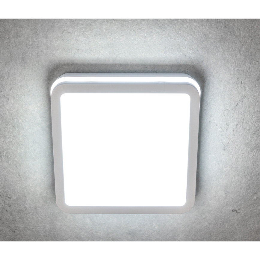 Plafoniera LED da esterno BENO LED/18W/230V 4000K bianca IP54