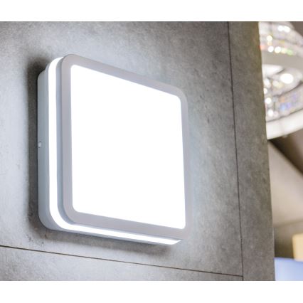 Plafoniera LED da esterno con sensore BENO LED/18W/230V 4000K bianca IP54