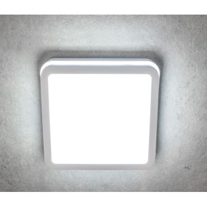 Plafoniera LED da esterno con sensore BENO LED/18W/230V 4000K bianca IP54