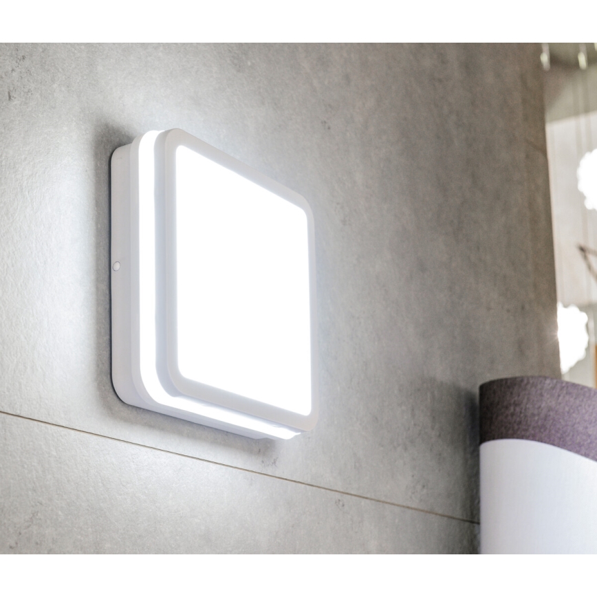 Plafoniera LED da esterno con sensore BENO LED/18W/230V 4000K bianca IP54