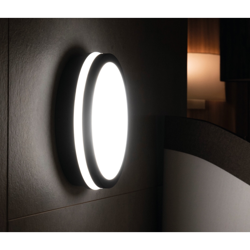 LED-Außenleuchte mit Sensor BENO LED/18W/230V 4000K anthrazit IP54