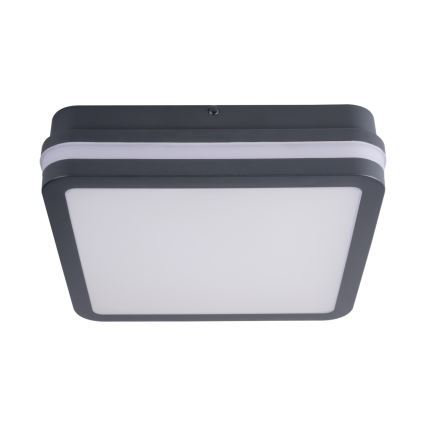 Lampada LED da esterno con sensore BENO LED/18W/230V 4000K IP54 antracite