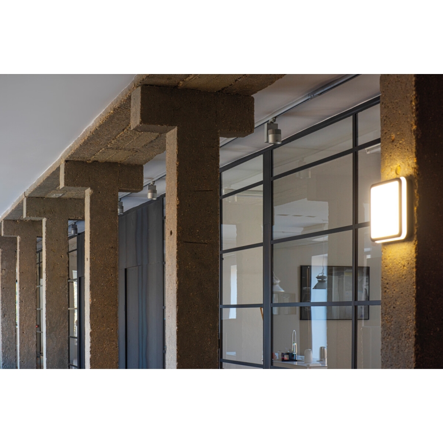 Applique LED da esterno BENO LED/18W/230V 4000K antracite IP54