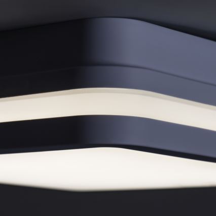 Applique LED da esterno BENO LED/18W/230V 4000K antracite IP54