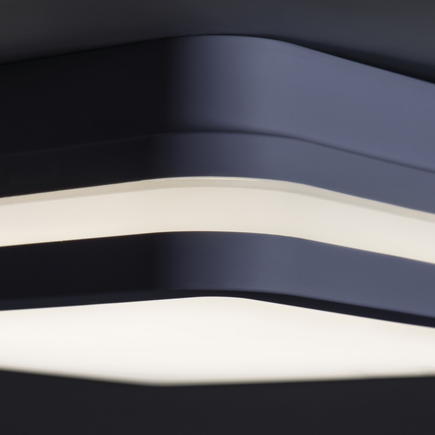 Applique LED da esterno BENO LED/18W/230V 4000K antracite IP54