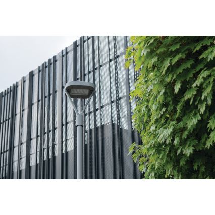 Lampada stradale LED PARCOLI LED/30/40/50W/230V 3000/4000/6500K IP66 grigio