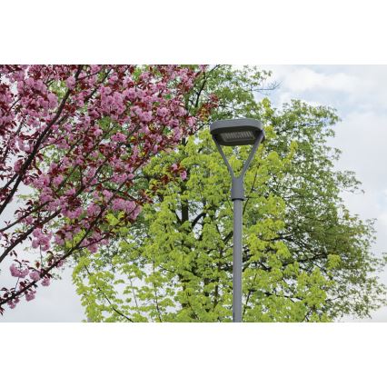 Lampada stradale LED PARCOLI LED/30/40/50W/230V 3000/4000/6500K IP66 grigio