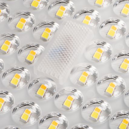 Lampadaire PARCOLI LED/30/40/50W/230V 3000/4000/6500K IP66 gris