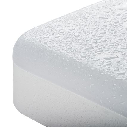 Plafonnier industriel IPER LED/26W/230V IK10 IP65 carré blanc