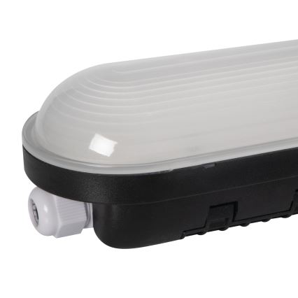 Tube fluorescent industriel MAH MAX LED/38W/230V 4000K IP65 noir
