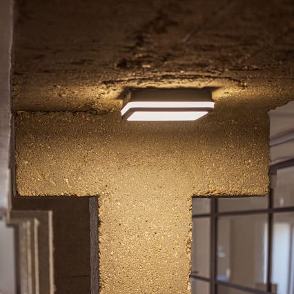 Plafonnier extérieur BENO LED/24/30W/230V 3000/3500/4000K IP65 anthracite carré
