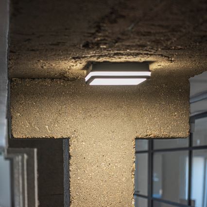 Plafoniera LED da esterno con sensore di movimento BENO LED/24/30W/230V 3000/3500/4000K IP65 antracite quadrato