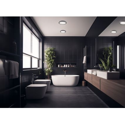 LED-Deckenleuchte für den Außenbereich BENO LED/12/18W/230V 3000/3500/4000K IP65 anthrazit rund