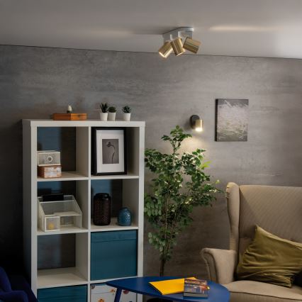 Spot mural LAURIN 1xGU10/10W/230V laiton/noir