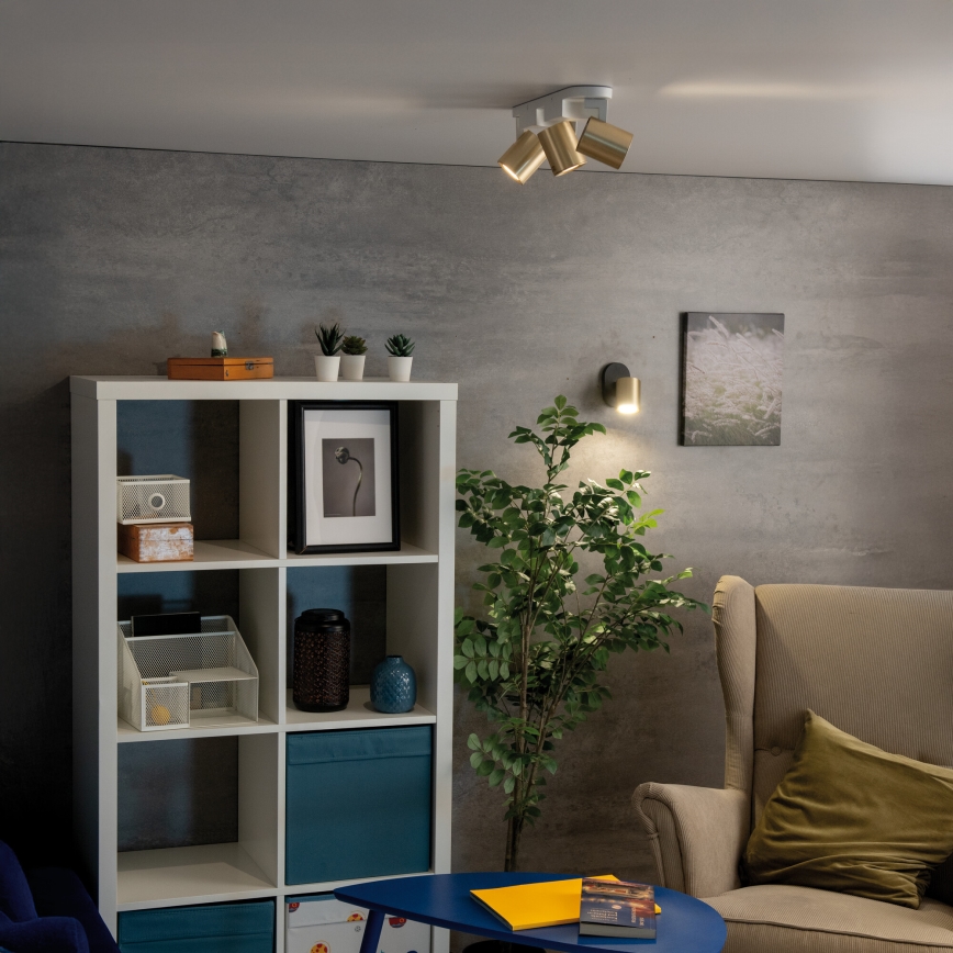 Spot mural LAURIN 1xGU10/10W/230V laiton/noir