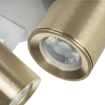 Faretto LAURIN 2xGU10/10W/230V ottone/bianco