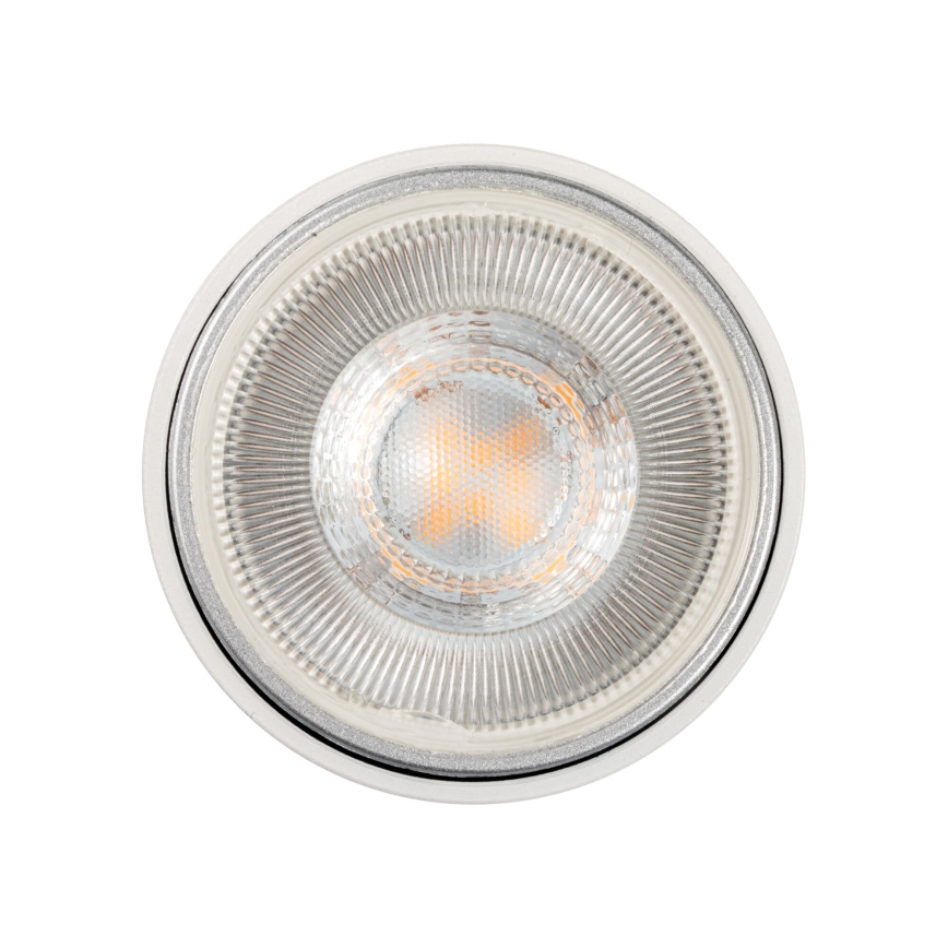 Faretto per binario ALTEAR 2x GU10/10W/230V 1 m bianco