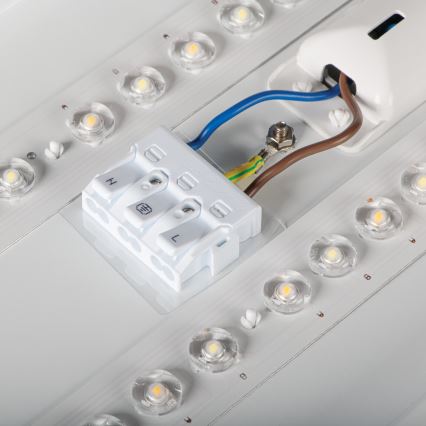 LED-Deckenleuchte LINCEA LED/15/20/24W/230V 3000/4000/6500K IK08 IP40