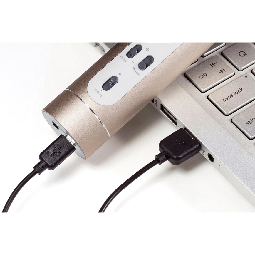 Karaoke-Mikrofon 6W/5V 1500 mAh Bluetooth gold
