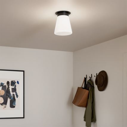 Kichler - Plafonnier ALBERS 1xE27/40W/230V Ø 21,6 cm noir