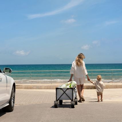 KINDERKRAFT - Faltbarer Transportwagen WAGON ROLLSTER grau