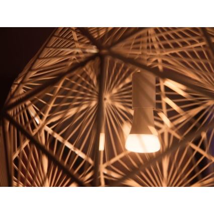 Kit de démarrage Philips Hue WHITE AMBIANCE 2xE27/8W/230V + appareil d'interconnexion