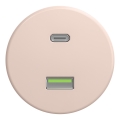 Kliklap - Prise USB rétro Type A + Type C sans cadre, vieux rose