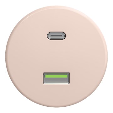 Kliklap - Prise USB rétro Type A + Type C sans cadre, vieux rose