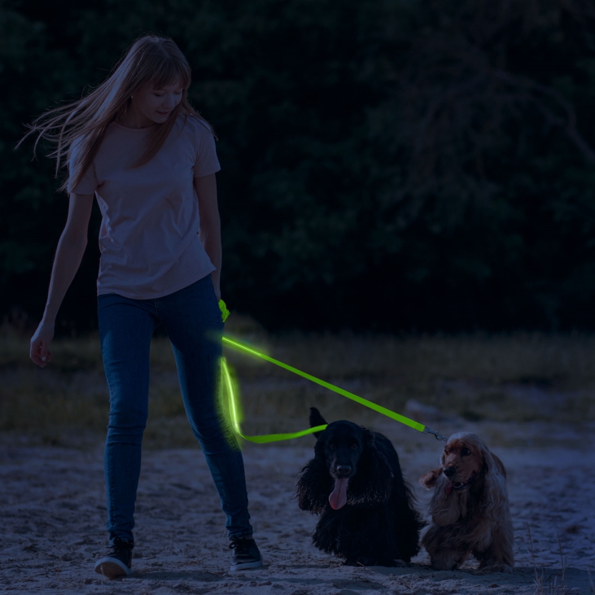 Laisse rechargeable 120 cm LED 2xCR2032/5V/40 mAh verte