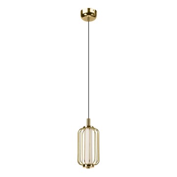 Lampada a sospensione con cavo LED BONNIE LED/10W/230V 3000K oro