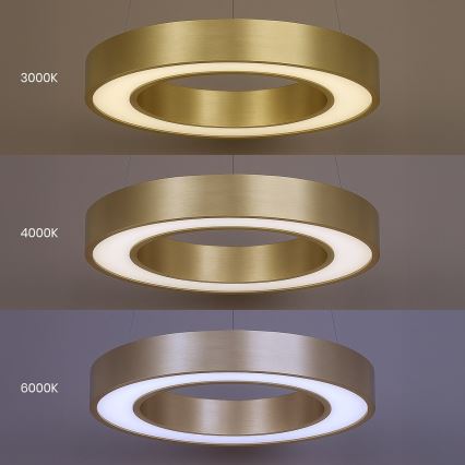 Lampada a sospensione LED su cavo UNION LED/40W/230V 3000/4000/6500K Ø 40 cm dorata