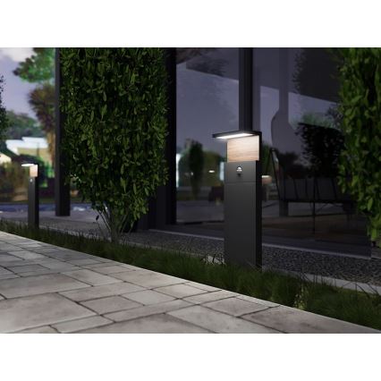 Lampada da esterno a LED con sensore NATURA LED/12W/230V 4000K IP54 marrone/antracite