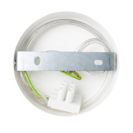 Lampada da parete CAPITAL 1xGX53/15W/230V bianca