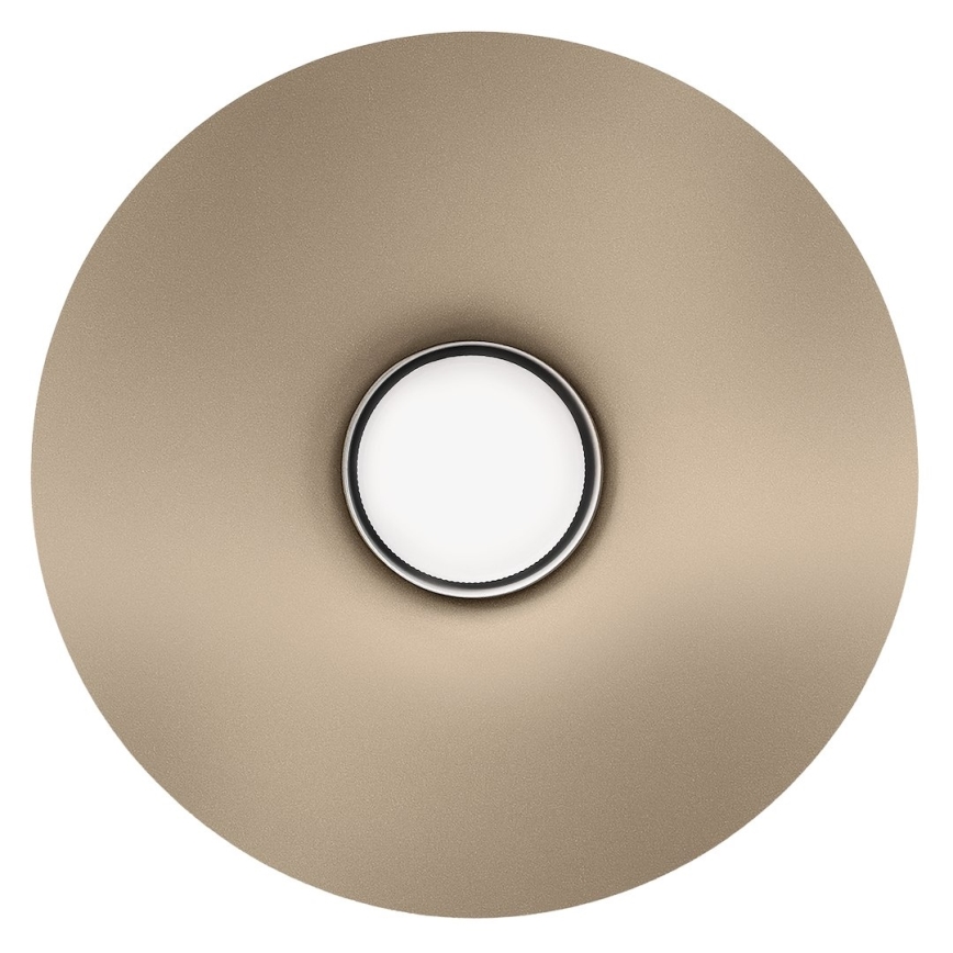 Lampada da parete CAPITAL 1xGX53/15W/230V tortora