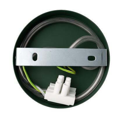 Lampada da parete CAPITAL 1xGX53/15W/230V verde