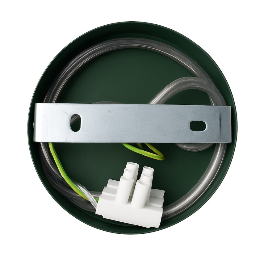 Lampada da parete CAPITAL 1xGX53/15W/230V verde