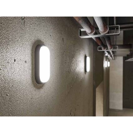 Lampada da parete per esterni a LED/12W/230V IP54 nera