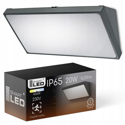 Lampada da parete LED da esterno con sensore di movimento LED/20W/230V IP65 grigia