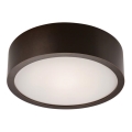 Lampada da soffitto 1xE27/60W/230V pino