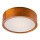 Lampada da soffitto 1xE27/60W/230V pino
