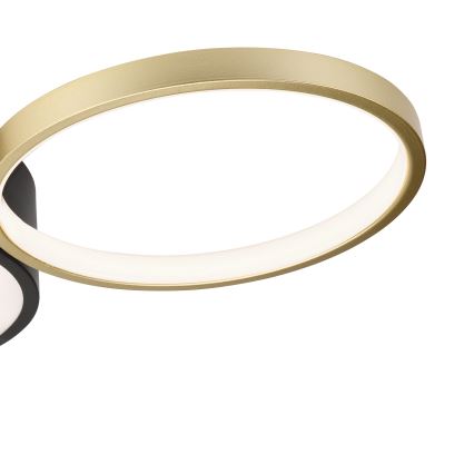 Lampada da soffitto dimmerabile ALIZEE LED/30W/230V 3000-6500K nero/oro