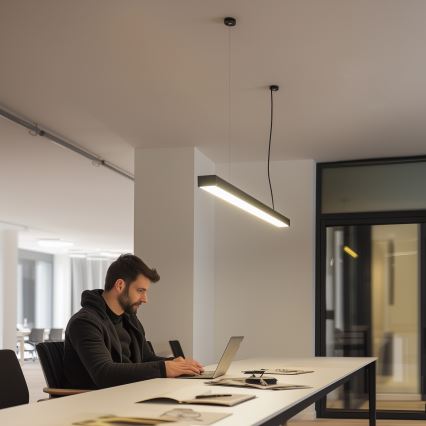 Lampada da soffitto LED a montaggio superficiale o a sospensione CYNIDECO LED/12W/230V 4000K nero