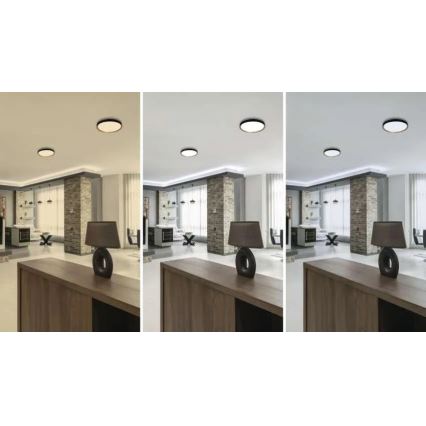Plafoniera dimmerabile a LED ILVI LED/30W/230V 2700-6500K Ø 40 cm nero/beige + telecomando