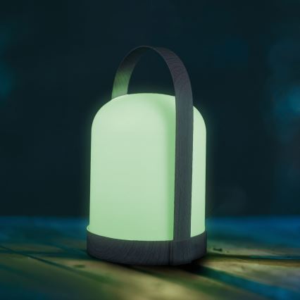 Lampada da tavolo decorativa LED RGBW MINORKA LED/0,3 W/4,5 V 3xAA