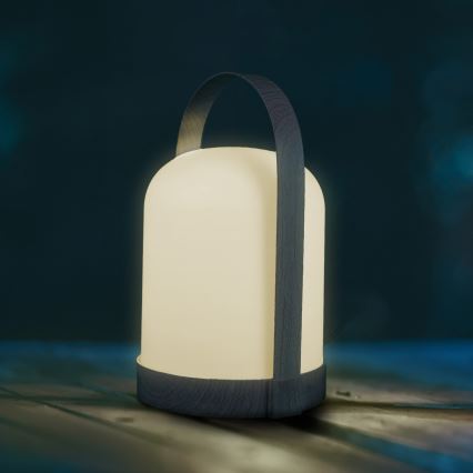 Lampada da tavolo decorativa LED RGBW MINORKA LED/0,3 W/4,5 V 3xAA