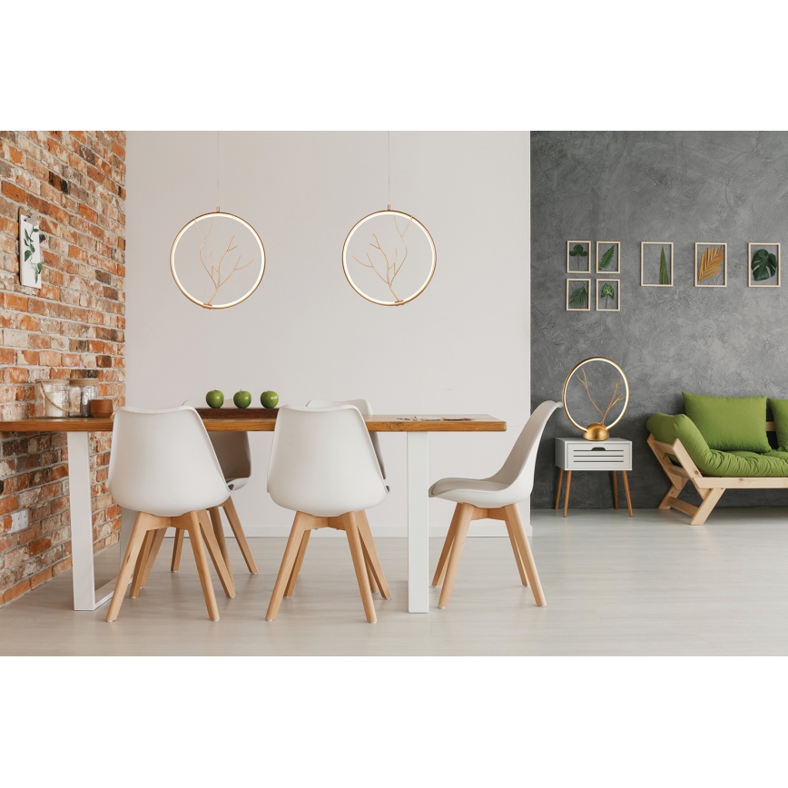 Lampada da tavolo LED DAVOS LED/11,5W/230V