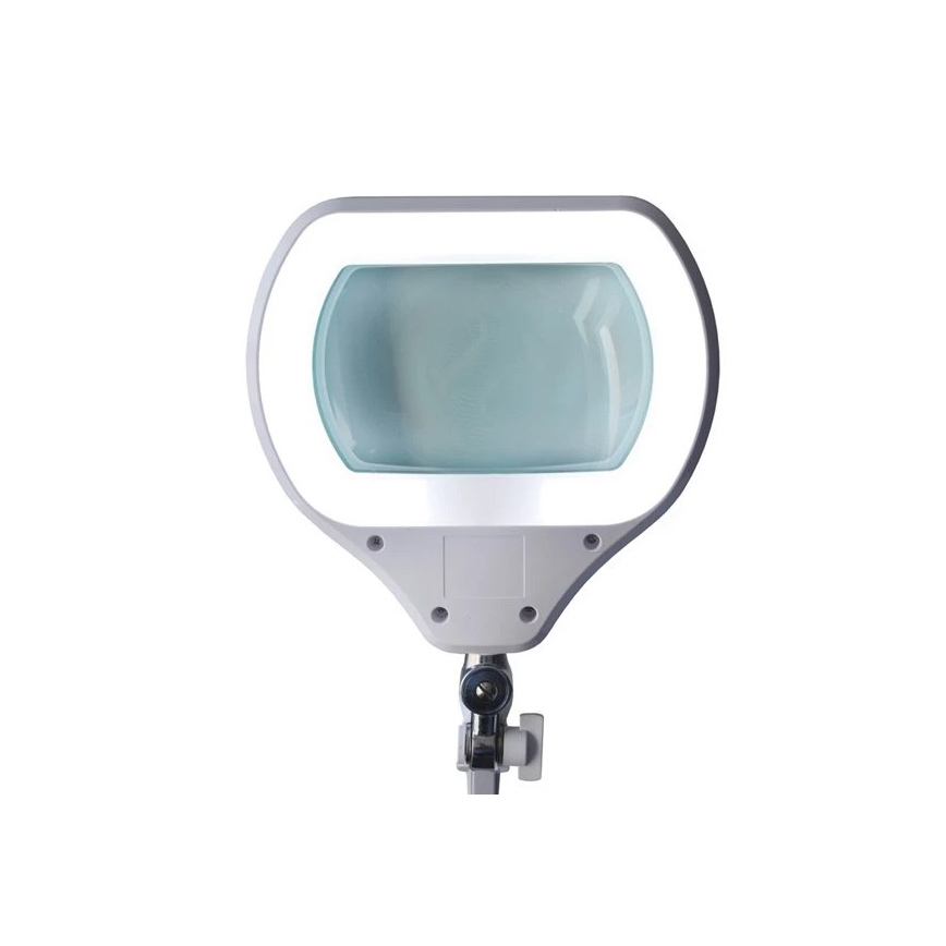 Lampada da tavolo LED dimmerabile con lente d'ingrandimento LED/12W/230V bianca