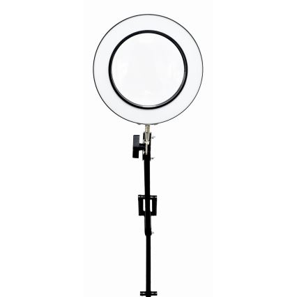 Lampada da tavolo LED dimmerabile con una lente d'ingrandimento LED/10W/230V 3000/4500/6000K